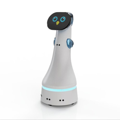ELF Service Robot